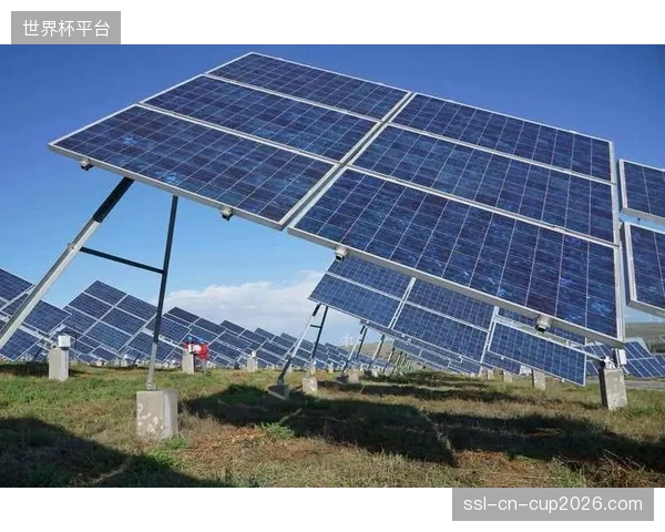 政策松绑后，体育场馆间的P2P（点对点）绿电交易将在2027年成为现实